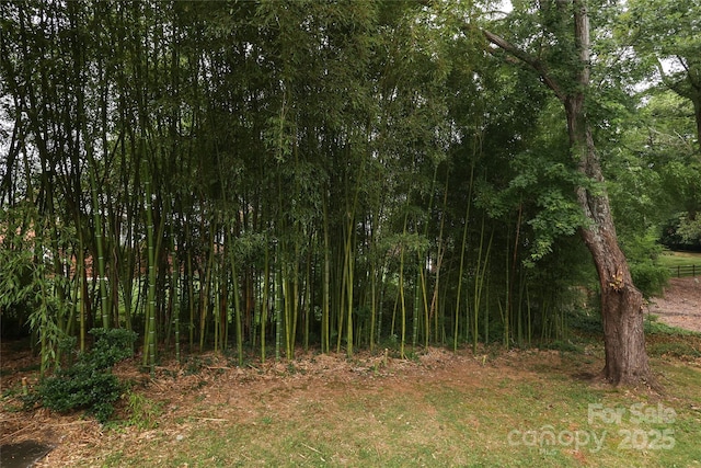 4350 Old Saybrook Ct, Charlotte, NC 28211 - view of undeveloped land