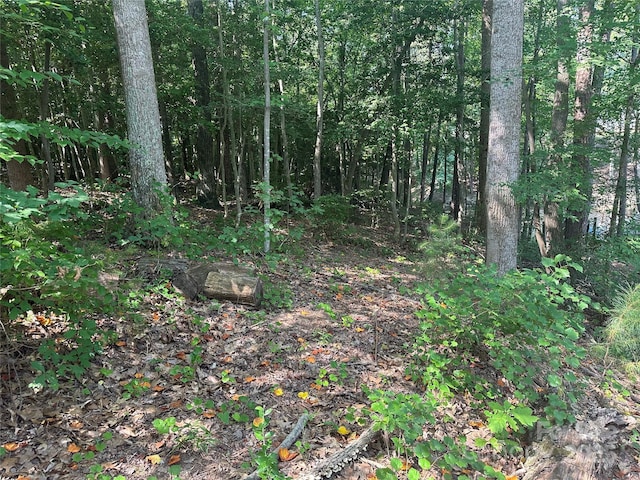 00 Rivendell Rd, Denver, NC 28037