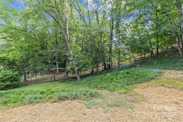 7315 Thorncliff Dr, Charlotte, NC 28210 - photo 47