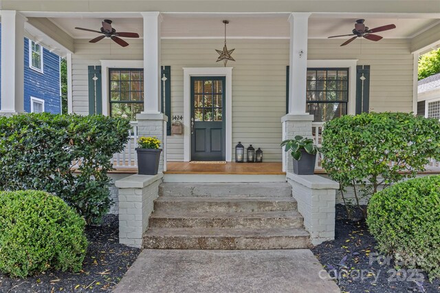1424 Pecan Ave, Charlotte, NC 28205 - photo 2