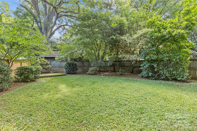 1424 Pecan Ave, Charlotte, NC 28205 - photo 27