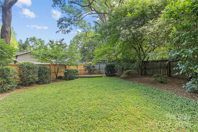 1424 Pecan Ave, Charlotte, NC 28205 - photo 28