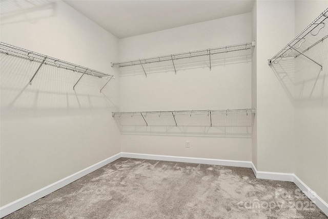 4523 Collingham Dr, Charlotte, NC 28273 - photo 28