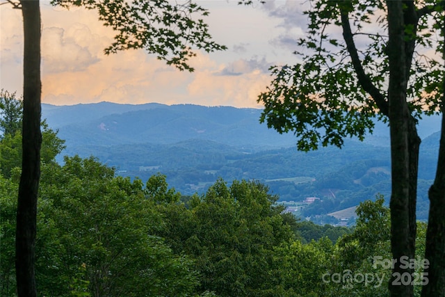 163 Tweetys Knl, Burnsville, NC 28714 - photo 3