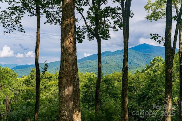 163 Tweetys Knl, Burnsville, NC 28714 - photo 14