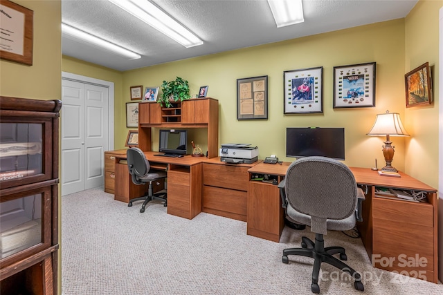 163 Tweetys Knl, Burnsville, NC 28714 - photo 32