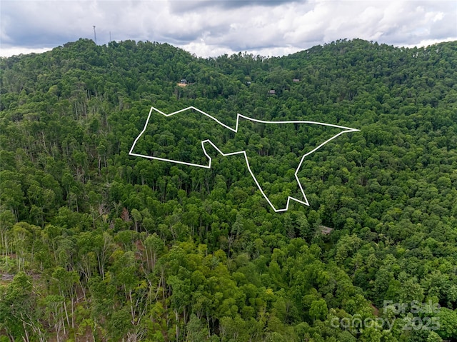 163 Tweetys Knl, Burnsville, NC 28714 - photo 43