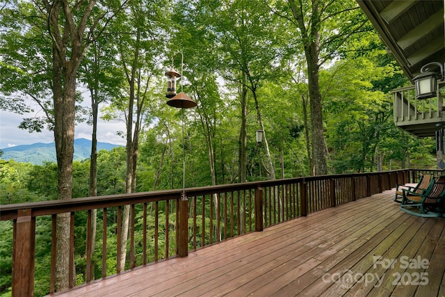 163 Tweetys Knl, Burnsville, NC 28714 - photo 45