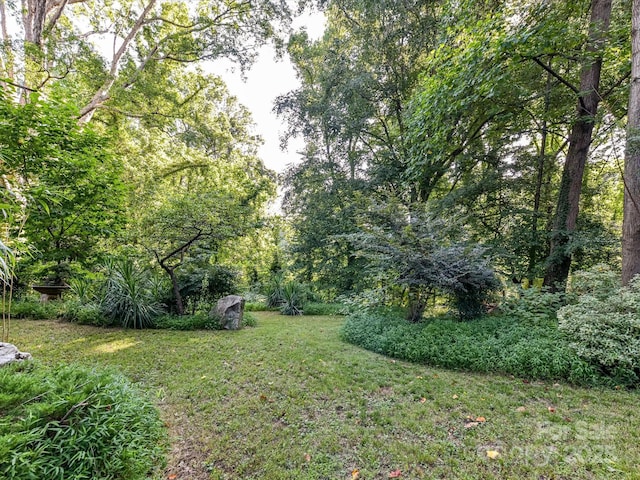 4317 Commonwealth Ave, Charlotte, NC 28205 - photo 22
