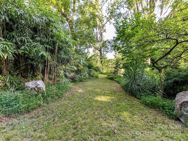 4317 Commonwealth Ave, Charlotte, NC 28205 - photo 23