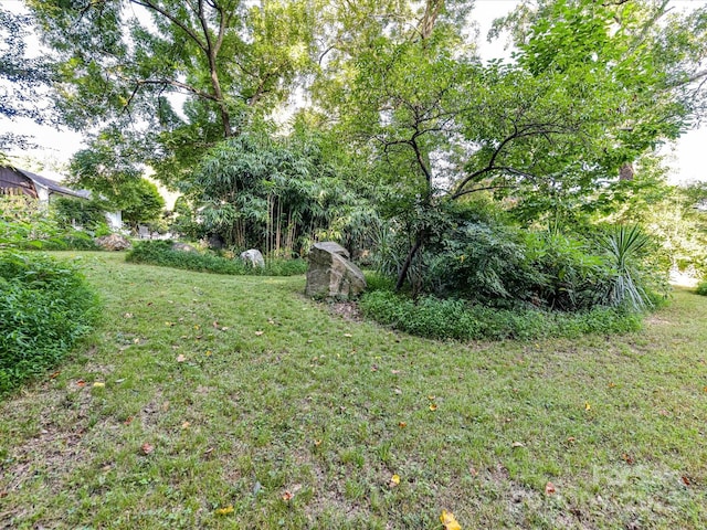 4317 Commonwealth Ave, Charlotte, NC 28205 - photo 24