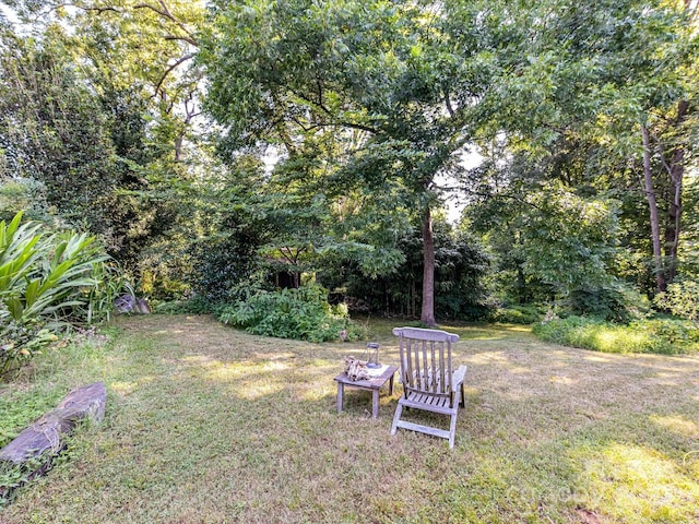 4317 Commonwealth Ave, Charlotte, NC 28205 - photo 25
