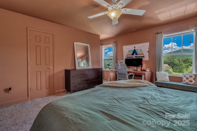 18 Glen Coe Dr, Fletcher, NC 28732 - photo 36