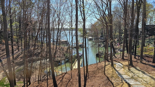 3830 Mill Run, Terrell, NC 28682 - water view