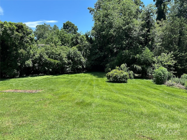 107 E Hunt Dr, Nebo, NC 28761 - photo 4