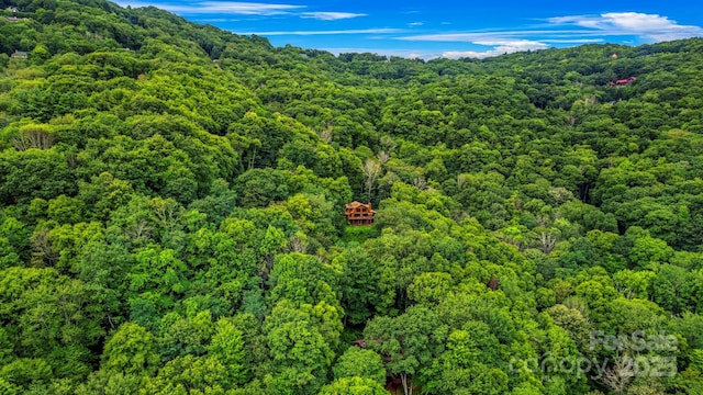 1933 N Laurel Ridge Rd N, Maggie Valley, NC 28751 - photo 5