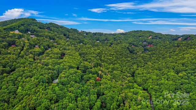 1933 N Laurel Ridge Rd N, Maggie Valley, NC 28751 - photo 6