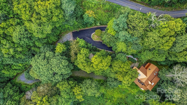 1933 N Laurel Ridge Rd N, Maggie Valley, NC 28751 - photo 7