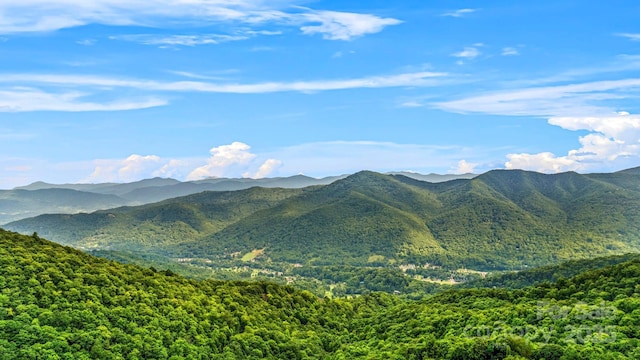 1933 N Laurel Ridge Rd N, Maggie Valley, NC 28751 - photo 8