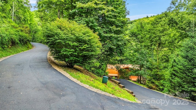 1933 N Laurel Ridge Rd N, Maggie Valley, NC 28751 - photo 11