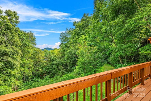 1933 N Laurel Ridge Rd N, Maggie Valley, NC 28751 - photo 18