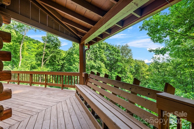 1933 N Laurel Ridge Rd N, Maggie Valley, NC 28751 - photo 21