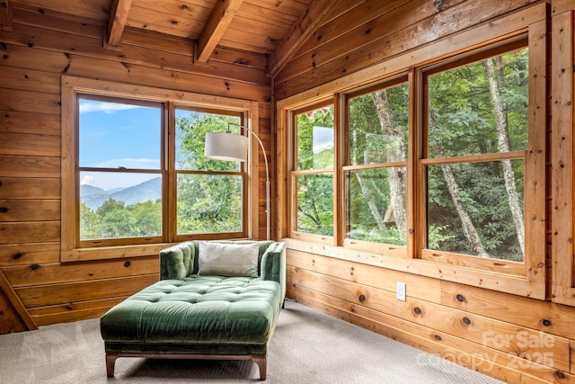 1933 N Laurel Ridge Rd N, Maggie Valley, NC 28751 - photo 33