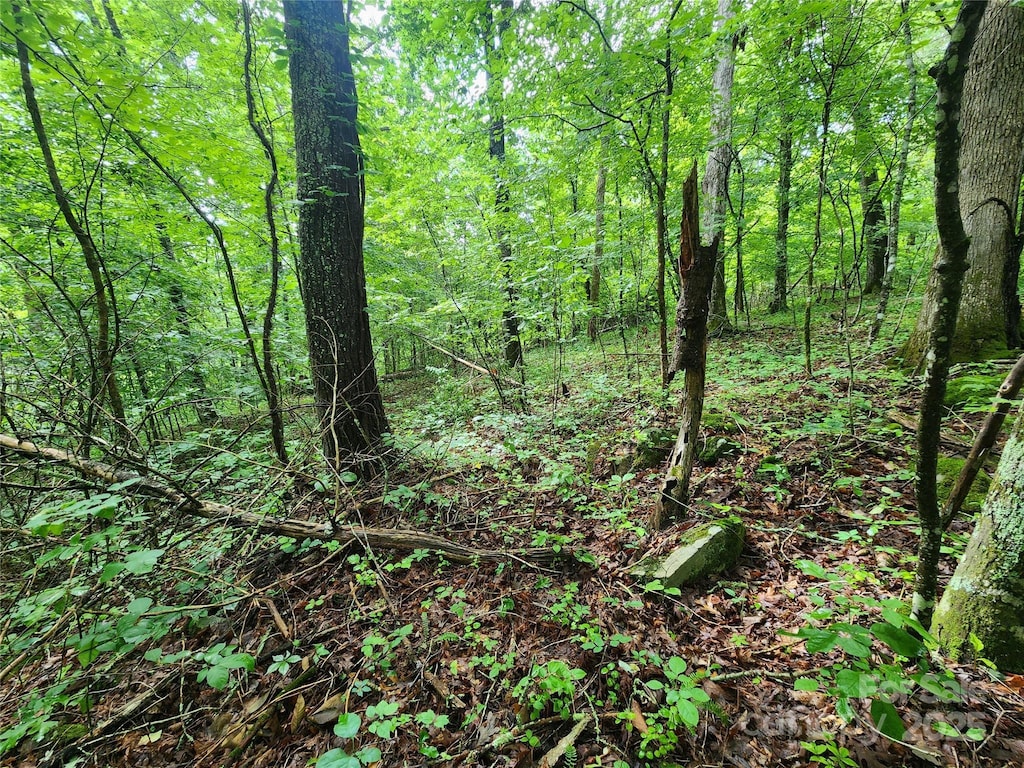 TBD Henry Worley Ln, Marshall, NC 37813 - photo 2
