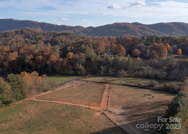 80 Sharon Rd, Fairview, NC 28730 - photo 15