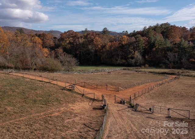 80 Sharon Rd, Fairview, NC 28730 - photo 18