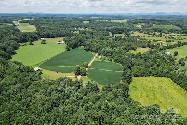 186 Blanche Ln, Stony Point, NC 28678 - photo 9