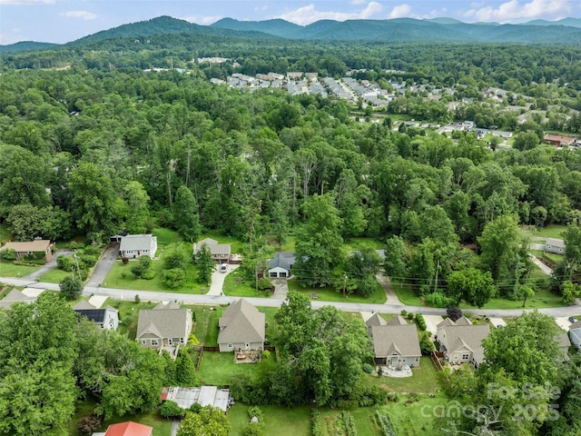 122 White Oak Road Ext, Arden, NC 28704 - photo 39