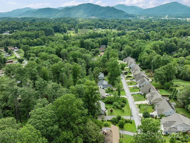 122 White Oak Road Ext, Arden, NC 28704 - photo 41