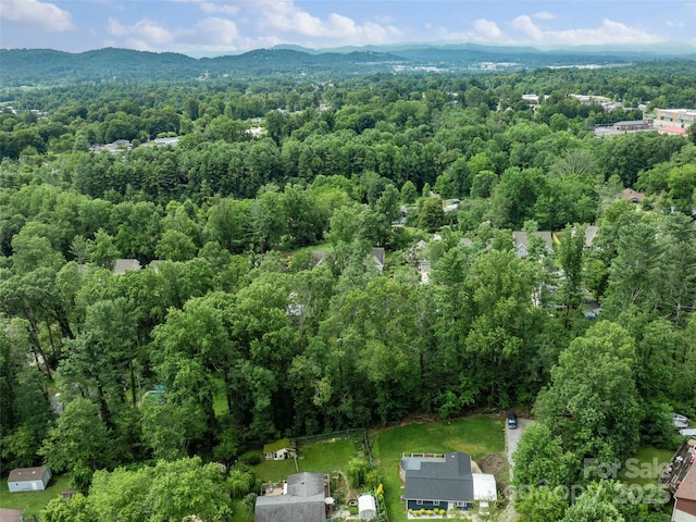 122 White Oak Road Ext, Arden, NC 28704 - photo 42