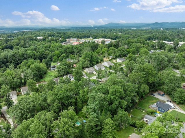 122 White Oak Road Ext, Arden, NC 28704 - photo 43