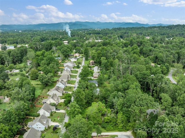 122 White Oak Road Ext, Arden, NC 28704 - photo 44