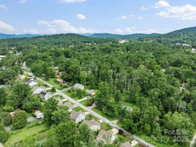 122 White Oak Road Ext, Arden, NC 28704 - photo 45