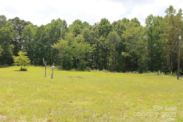 1316 Hopper Rd, Rutherfordton, NC 28139 - photo 8