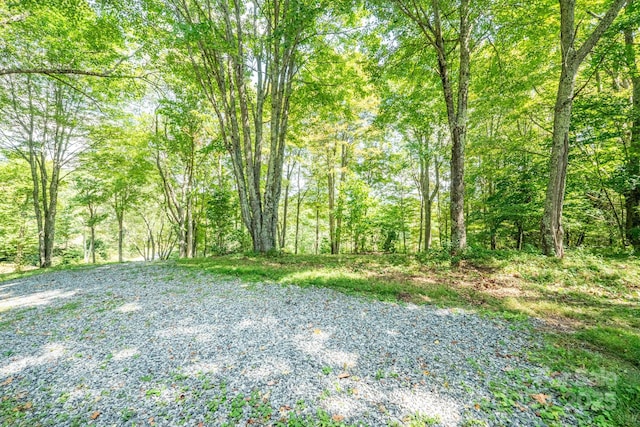 2777 Hickory Nut Gap Rd, Newland, NC 28657 - photo 21