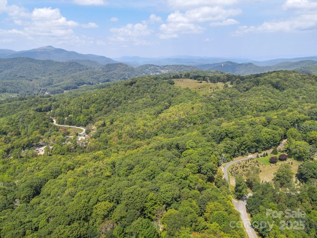 2777 Hickory Nut Gap Rd, Newland, NC 28657 - photo 22