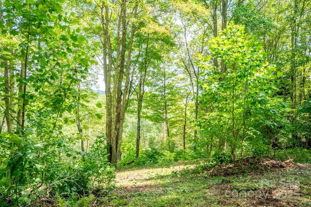 2777 Hickory Nut Gap Rd, Newland, NC 28657 - photo 24