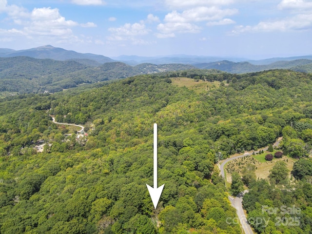2777 Hickory Nut Gap Rd, Newland, NC 28657 - photo 27