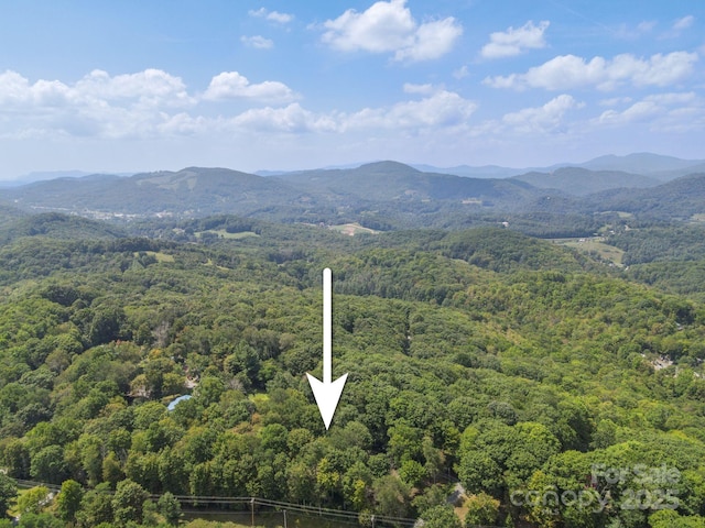 2777 Hickory Nut Gap Rd, Newland, NC 28657 - photo 28