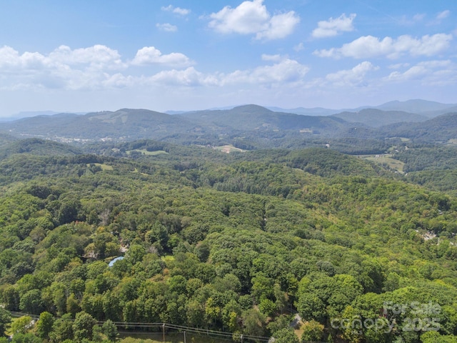 2777 Hickory Nut Gap Rd, Newland, NC 28657 - photo 29