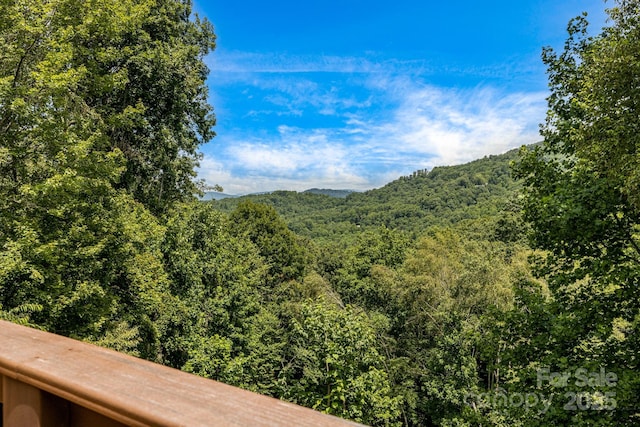 930 Sunlight Ridge Dr, Hendersonville, NC 28792 - photo 7