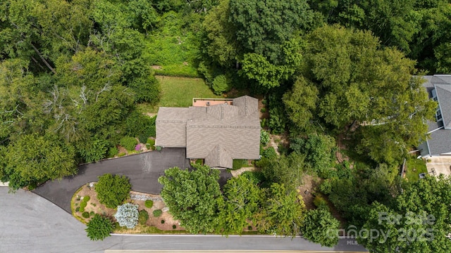 930 Sunlight Ridge Dr, Hendersonville, NC 28792 - photo 45