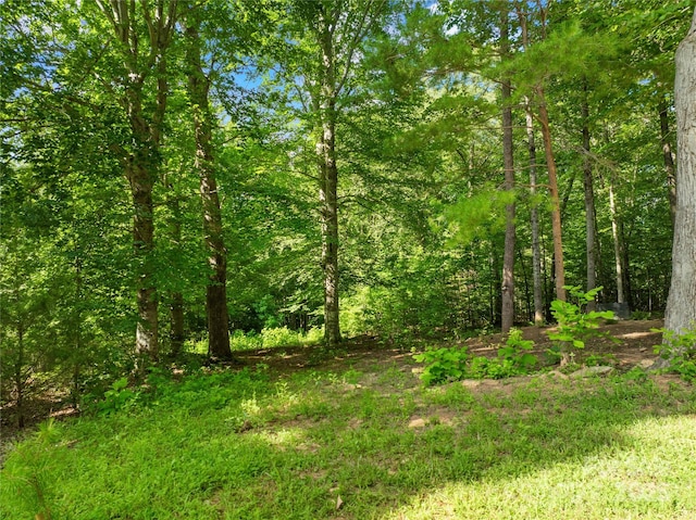 401 Brookfield Dr, Statesville, NC 28625 - photo 9
