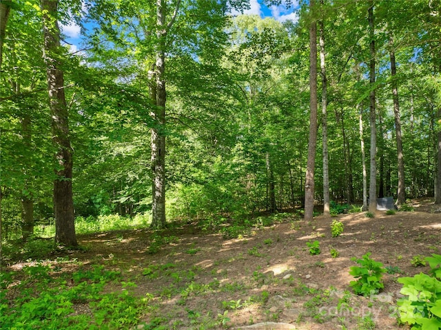 401 Brookfield Dr, Statesville, NC 28625 - photo 10