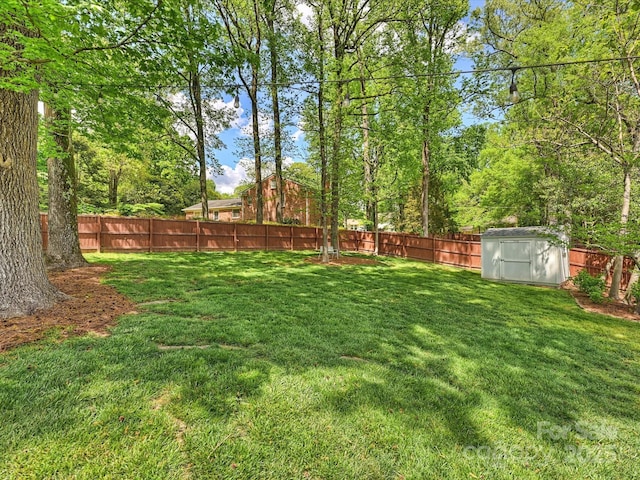 3910 Rhodes Ave, Charlotte, NC 28210 - photo 31