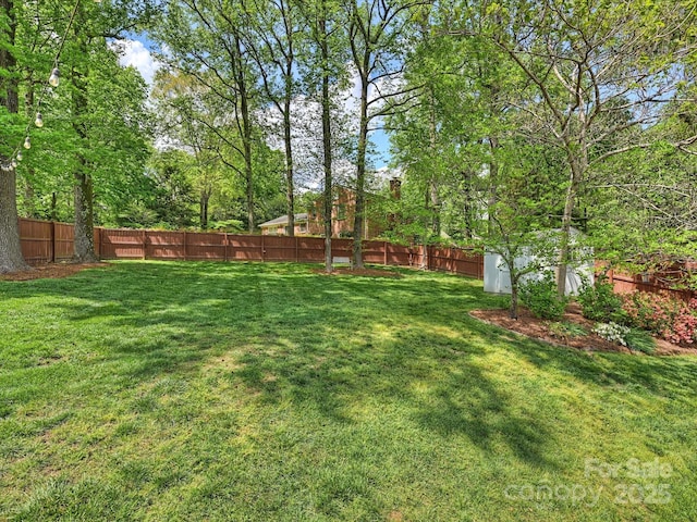 3910 Rhodes Ave, Charlotte, NC 28210 - photo 33